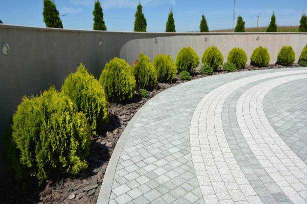 Best Paver Driveway Replacement  in Agler Beach, FL